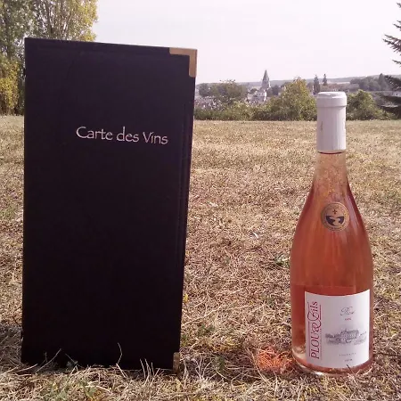 Hotel Logis Luccotel Cosy 2*