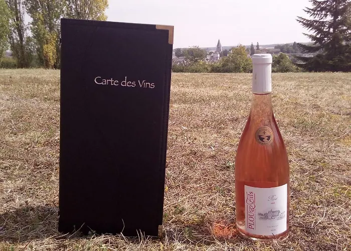 Hotel Logis Luccotel Cosy 2*